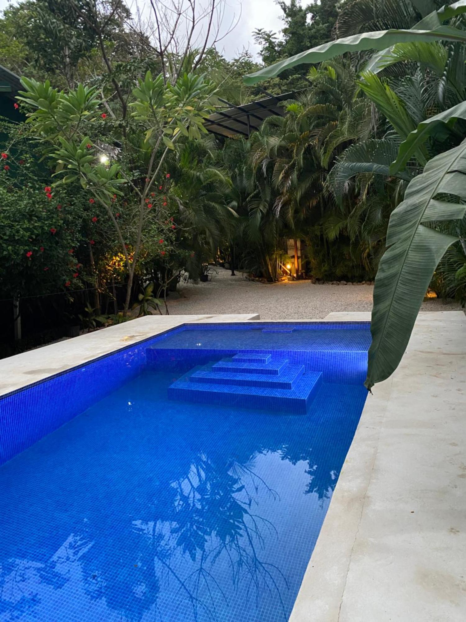 Nahele Lodge Playa Santa Teresa  Екстериор снимка